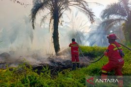 Manggala Agni berjibaku padamkan karhutla 20 hektare di Siak Riau