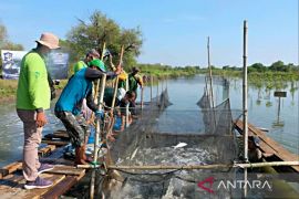 Menanam hijau, memanen laut