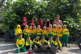 Anak-anak TK di Sampit dikenalkan metode stek daun sejak dini