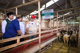 Baznas salurkan daging kurban serentak di 103 titik se-Indonesia