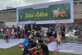 DLU bagikan 6.000 paket daging kurban untuk masyarakat