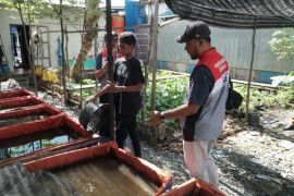 Pertamina Kalimantan wins global CSR awards in Thailand