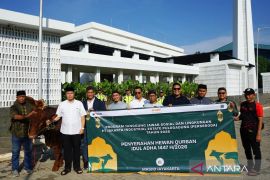 PT JIEP salurkan 34 sapi kurban untuk warga di Jakarta