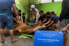 PNM salurkan hewan kurban kepada warga di Surabaya