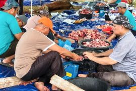 Tebar keberkahan Idul Adha, Bank BSN salurkan ratusan hewan kurban