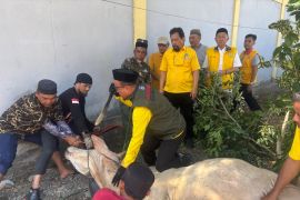 Golkar Sulteng sembelih lima ekor hewan kurban