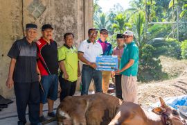 PTBA bantu hewan kurban untuk warga di Sawahlunto