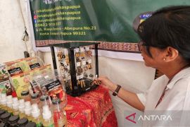 OJK Papua dorong masyarakat bijak gunakan layanan keuangan digital
