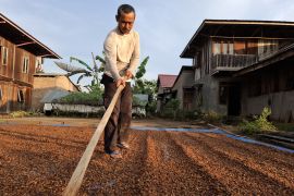 Lampung terima bantuan bibit perkebunan sebesar Rp210,58 miliar