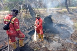Manggala Agni padamkan karhutla 20 hektare di Siak