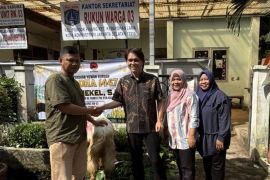 Once Mekel salurkan hewan kurban puluhan kambing di Idul Adha 1447 H