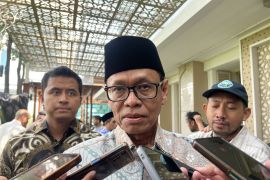 Indonesia prepares 24,000 hectares in Java for 100 GW solar project