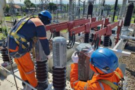 Idul Adha, PLN UPT Salatiga amankan transformator dengan Wild Animal Protection