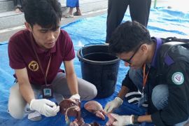 Distan Mataram menemukan 60 kasus cacing hati pada hewan kurban