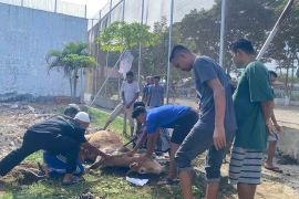 Rutan Banda Aceh laksanakan kurban untuk warga binaan