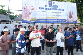 Kanwil Kemenkum - KemenHAM Babel  potong hewan kurban rayakan Idul Adha