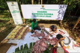 Baznas salurkan 1.240 ekor kambing dam jamaah haji Indonesia 2026