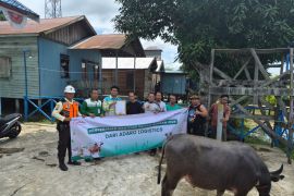Adaro Logistics Group bantu hewan kurban ke daerah operasional