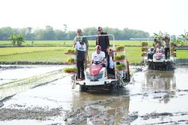 Menteri PPN sebut hilirisasi harus tingkatkan kesejahteraan petani