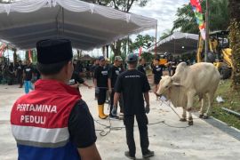 Rayakan Idul Adha 1447 Hijriah, Pertamina EP Zona 4 tebar semangat berbagi di wilayah operasi