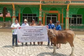 Perusahaan sawit serahkan bantuan 120 ekor sapi kurban