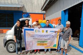 Bulog bantu penuhi pakan ternak di Sulawesi Tengah lewat SPHP jagung