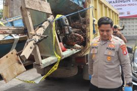 Polres Kotim ungkap empat kasus pencurian sawit