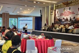 Gubernur Safanpo sebut PSN di Papua Selatan berpotensi serap 15 ribu tenaga kerja