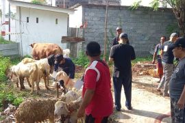 Perputaran ekonomi Idul Adha di Probolinggo capai Rp25,3 miliar