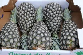 Kebijakan nol tarif China angkat nanas Sugarloaf dari Benin