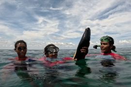 Sepak terjang "Joom Jak Sasi" dari Aduwei dalam menjaga ekosistem laut