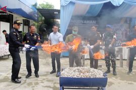Bea Cukai Samarinda amankan dari paket barang ilegal senilai Rp2,1 M
