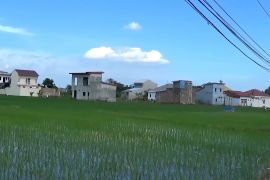 Maros upayakan produktivitas pertanian di saat penyusutan lahan sawah