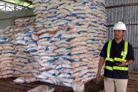 PI pasok pupuk untuk 2.000 hektare sawah terendam banjir di Sultra