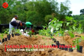 Feature - Akselerasi Ketahanan Pangan Kalimantan Selatan 2026 Bagian 1
