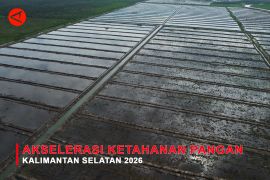 Feature - Akselerasi Ketahanan Pangan Kalimantan Selatan 2026 Bagian 2