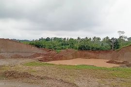DLH Serang dorong penghijauan di lahan bekas tambang