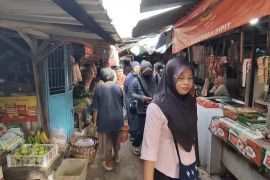 Semarang mitigasi Hantavirus dengan program &ldquo;Gembira Ria&rdquo;