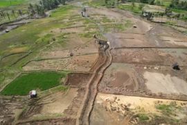 Rehabilitasi sawah pascabencana di Agam capai 276 hektare