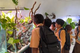 Kontes ikan hias Wali Kota Cup meriahkan HUT ke-500 Banjarmasin