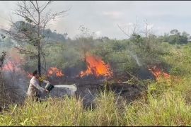 Tarakan Kaltara rawan karhutla, warga tak boleh buka lahan tanpa izin