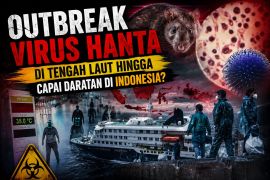 Outbreak virus hanta di tengah laut hingga capai daratan di Indonesia?