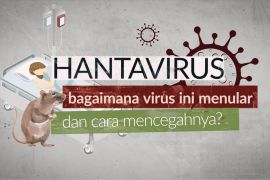 Kenali Hantavirus dan panduan praktis mencegah penularannya
