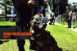 Jejak polisi satwa (bagian 2)