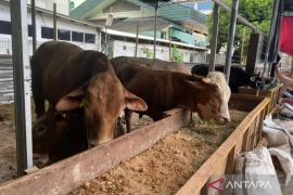 Sudin KPKP Jaksel periksa 7.075 hewan kurban selama Idul Adha