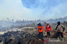 BPBD: Kebakaran lahan di Nagan Raya meluas hingga 17 hektare