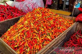 Harga cabai rawit Rp84.400/kilogram, telur ayam Rp31.350/kilogram