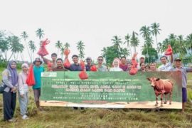 IGIP tunjukan komitmen dalam program CSR