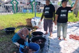 DPKPP Singkawang temukan 129 hewan kurban terinfeksi cacing hati
