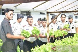 Dukung MBG, Lapas Lamongan pasok selada hidroponik ke SPPG Keduyung